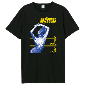 Amerikanisches Idioten-T-Shirt