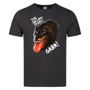 Amerikanisches Idioten-T-Shirt