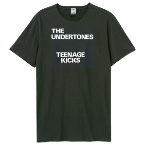 Amerikanisches Idioten-T-Shirt
